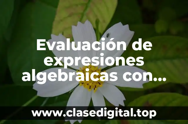 Evaluación de expresiones algebraicas con potencias y raíces