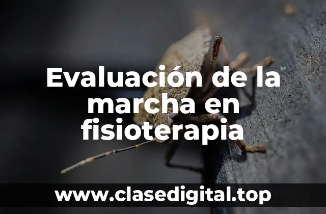 Evaluación de la marcha en fisioterapia