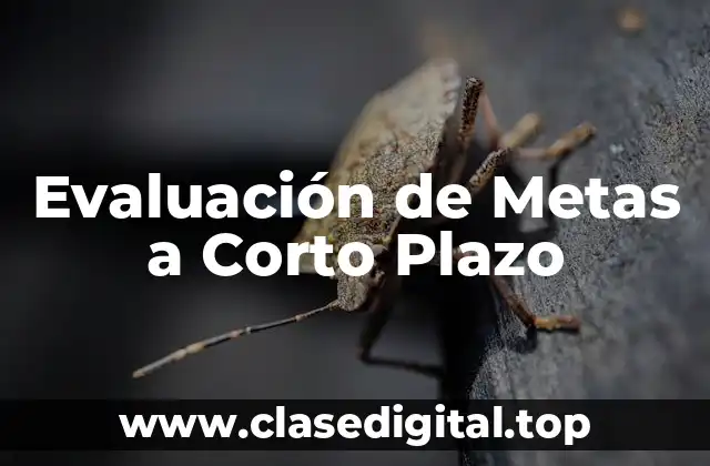 Evaluación de Metas a Corto Plazo