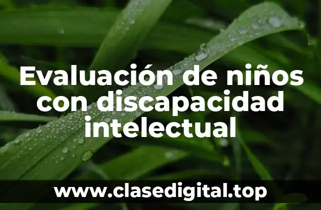 Evaluación de niños con discapacidad intelectual