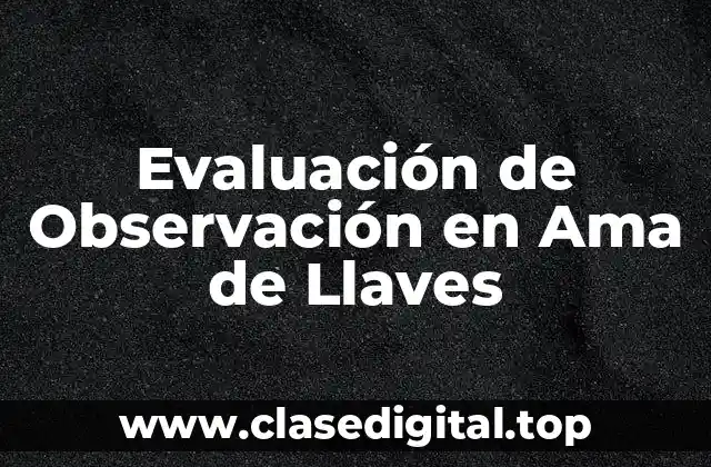 Ejemplos de Evaluación de Observación en Ama de Llaves