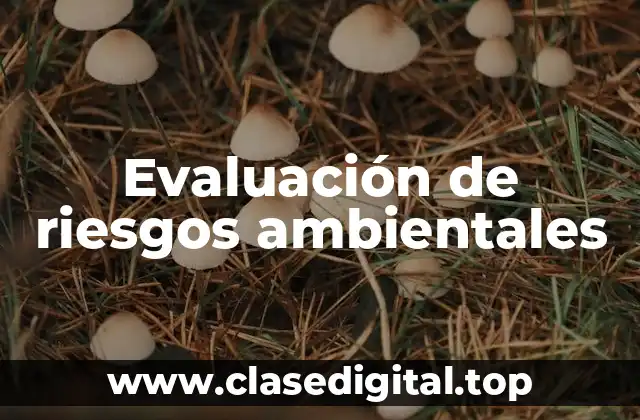 Evaluación de riesgos ambientales