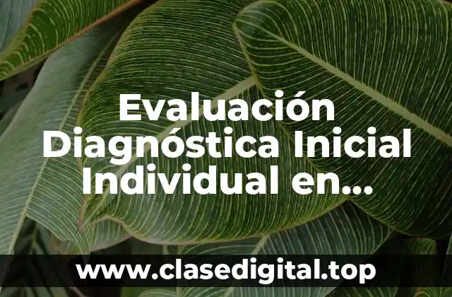 Evaluación Diagnóstica Inicial Individual en Preescolar