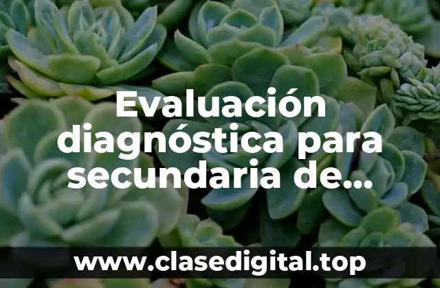 Evaluación diagnóstica para secundaria de informática