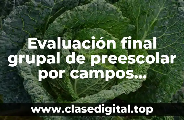 Evaluación final grupal de preescolar por campos formativos