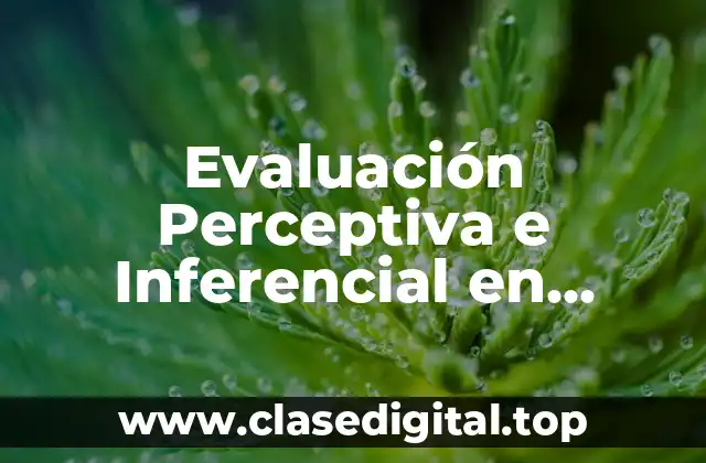 Ejemplos de Evaluación Perceptiva e Inferencial