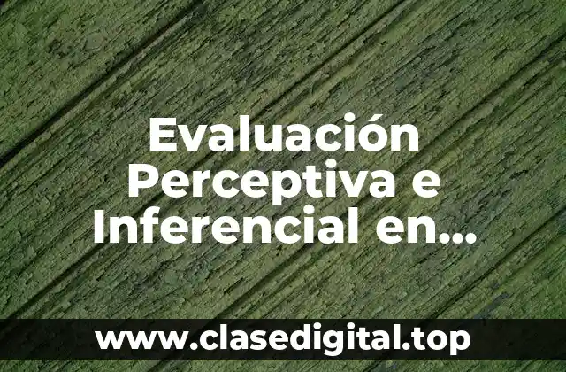 Evaluación Perceptiva e Inferencial en Química