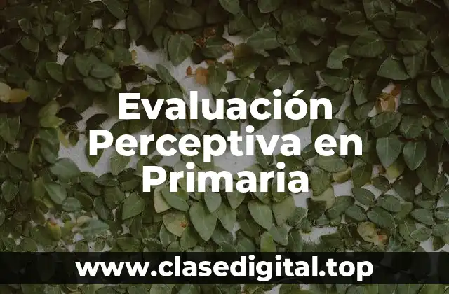 Evaluación Perceptiva en Primaria