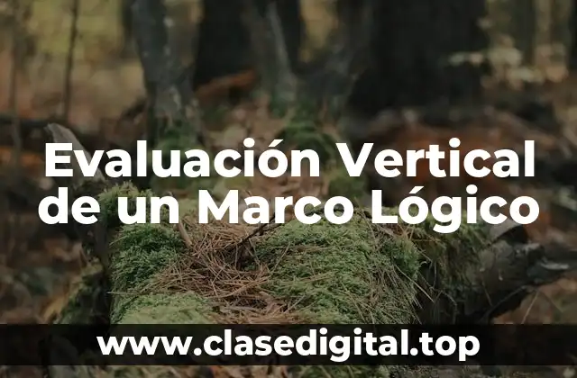 Evaluación Vertical de un Marco Lógico