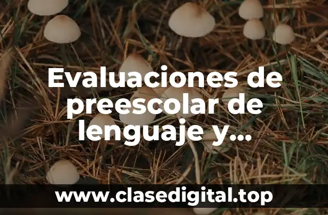 Ejemplos de evaluaciones de lenguaje y comunicación en preescolar