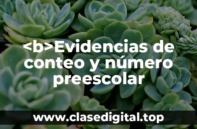 <b>Evidencias de conteo y número preescolar