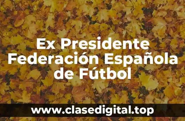 Ex Presidente Federación Española de Fútbol