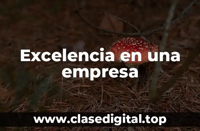 Ejemplos de Excelencia en una Empresa