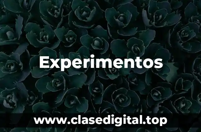 Experimentos