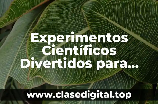 Experimentos Científicos Divertidos para Niños de 10 a 12 Años