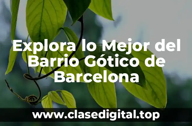 Explora lo Mejor del Barrio Gótico de Barcelona