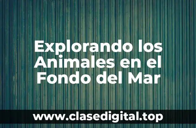 La Diversidad de la Vida en el Fondo del Mar