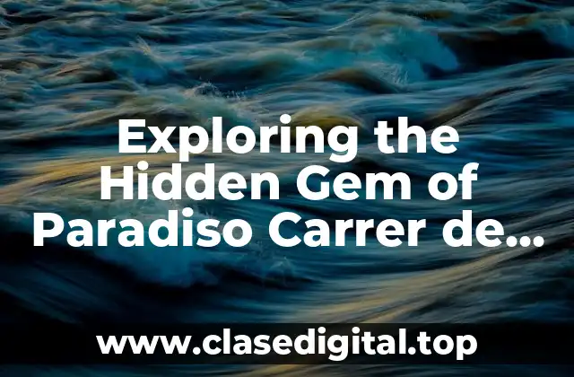 Exploring the Hidden Gem of Paradiso Carrer de Rera Palau in Barcelona, Spain