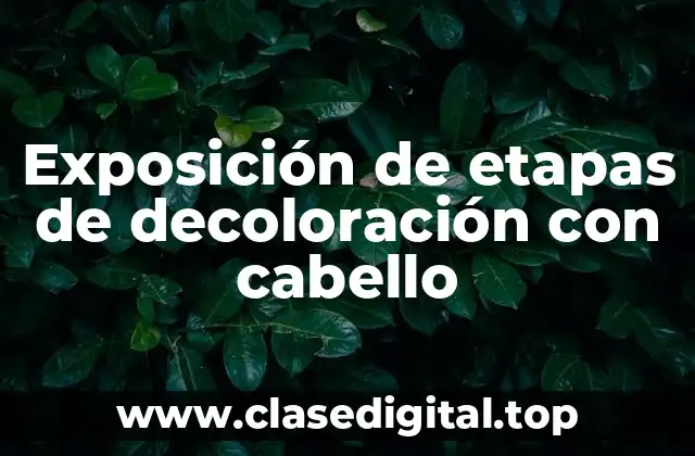 Exposición de etapas de decoloración con cabello