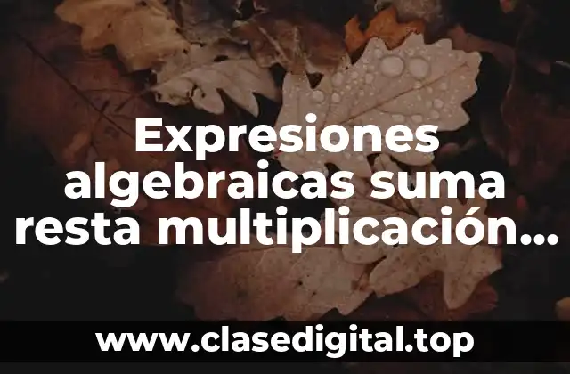 Expresiones algebraicas suma resta multiplicación y división