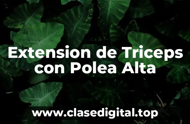Extension de Triceps con Polea Alta