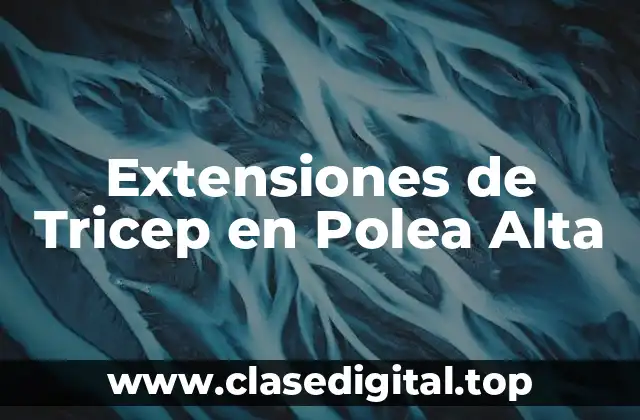Extensiones de Tricep en Polea Alta