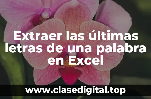 Extraer las últimas letras de una palabra en Excel