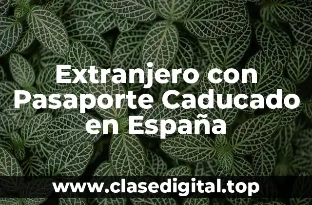 Extranjero con Pasaporte Caducado en España