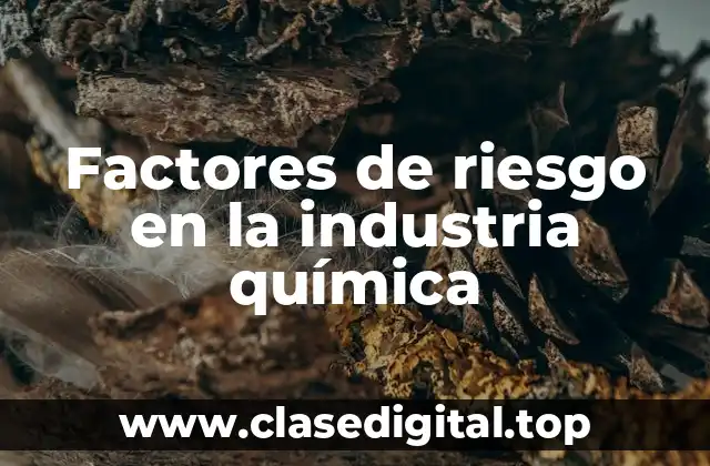 Factores de riesgo en la industria química