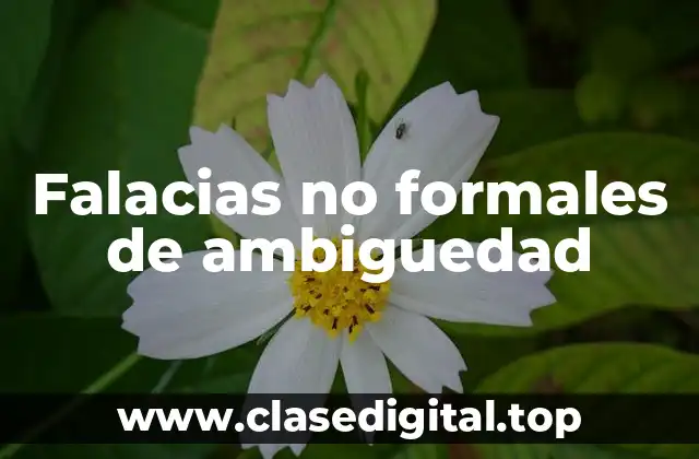 Falacias no formales de ambiguedad