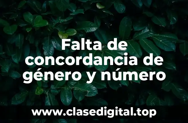 Ejemplos de falta de concordancia de género y número
