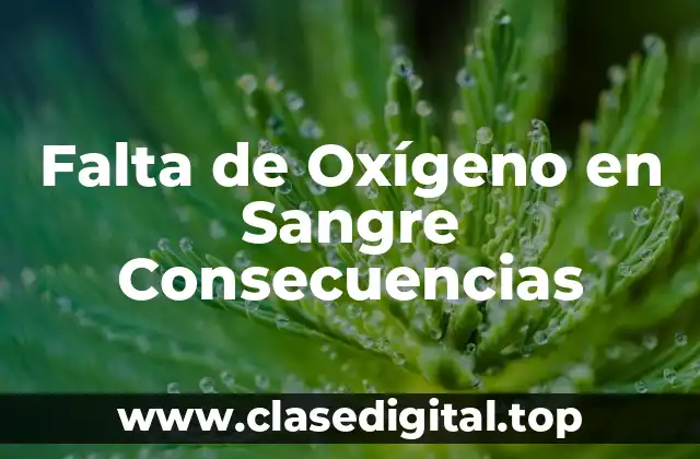Falta de Oxígeno en Sangre Consecuencias