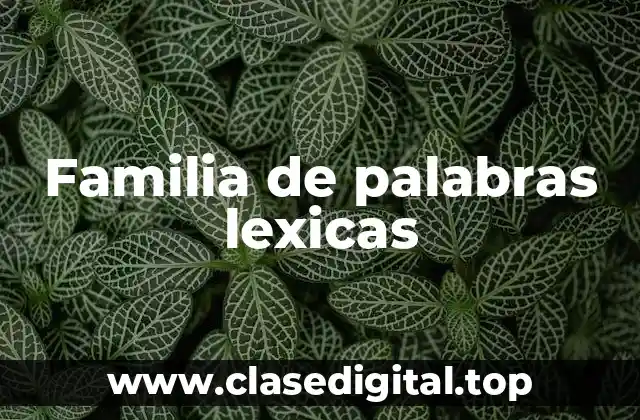 Familia de palabras lexicas