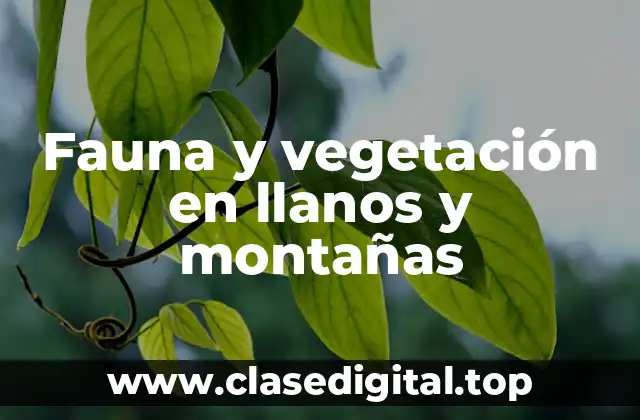 Fauna y vegetación en llanos y montañas