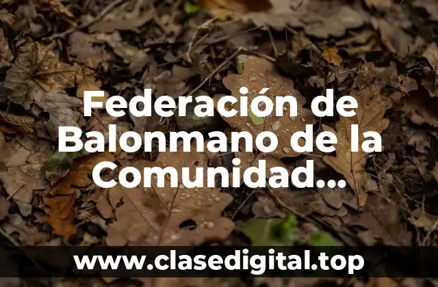 Federación de Balonmano de la Comunidad Valenciana
