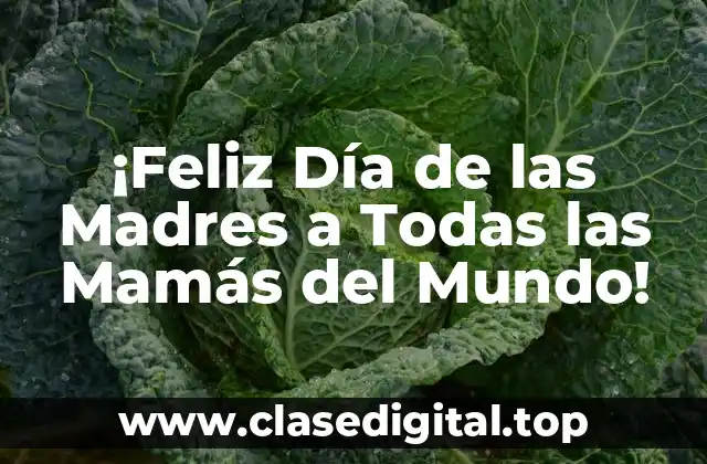 ¡Feliz Día de las Madres a Todas las Mamás del Mundo!