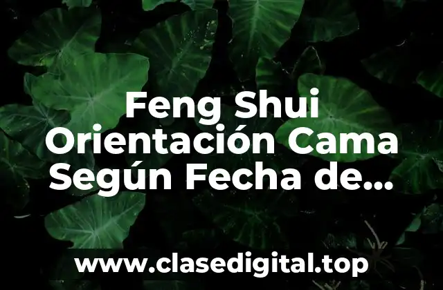 Feng Shui Orientación Cama Según Fecha de Nacimiento
