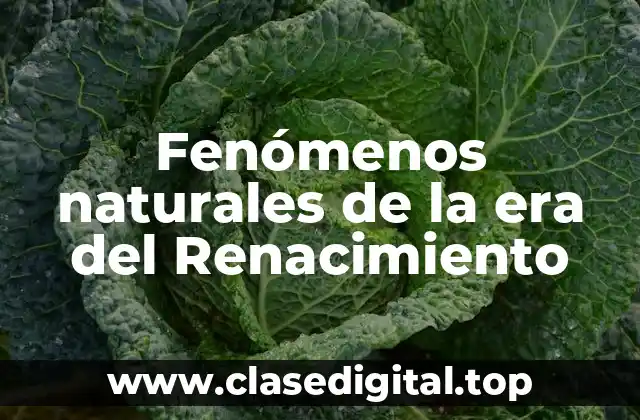 Fenómenos naturales de la era del Renacimiento