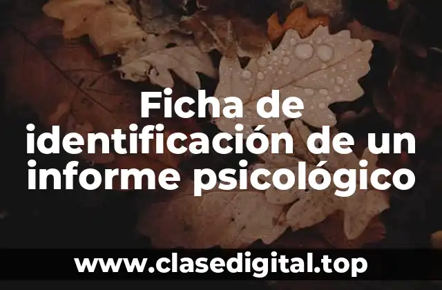 Ejemplos de fichas de identificación de un informe psicológico