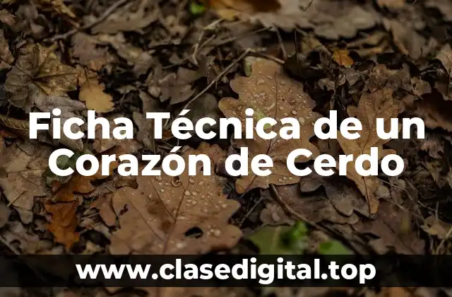 Ficha Técnica de un Corazón de Cerdo