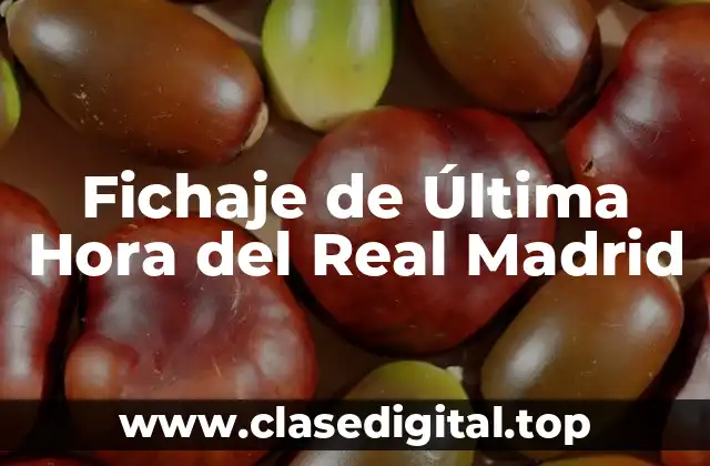 Fichaje de Última Hora del Real Madrid