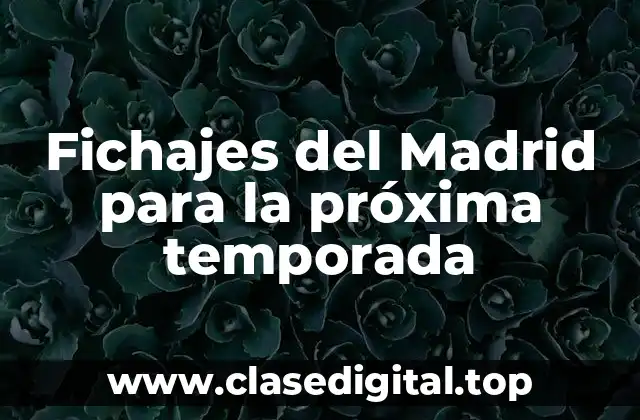 ¿Qué necesidades tiene el Madrid para la próxima temporada?