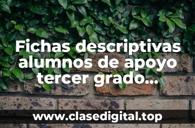 Fichas descriptivas alumnos de apoyo tercer grado primaria