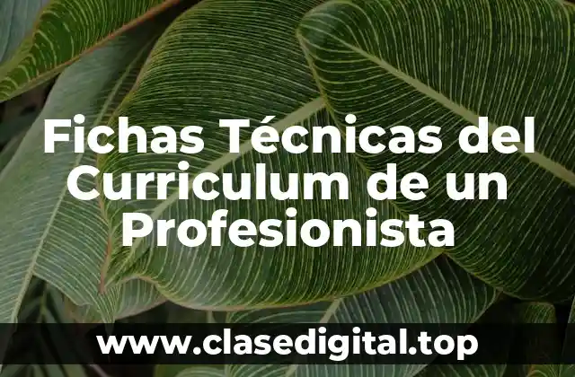 Fichas Técnicas del Curriculum de un Profesionista