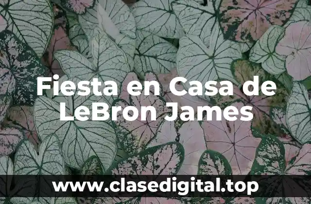 Fiesta en Casa de LeBron James