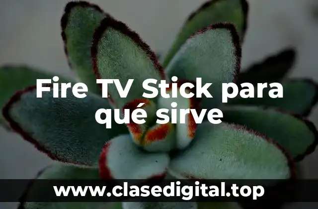Fire TV Stick para qué sirve