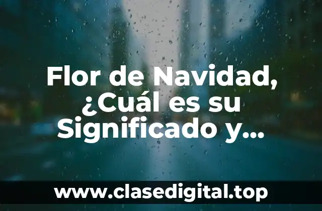 Flor de Navidad, ¿Cuál es su Significado y Origen?