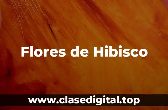 Flores de Hibisco