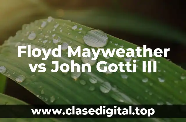 Floyd Mayweather vs John Gotti III