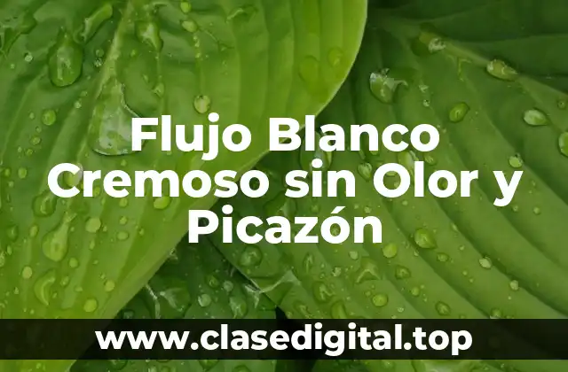 Flujo Blanco Cremoso sin Olor y Picazón